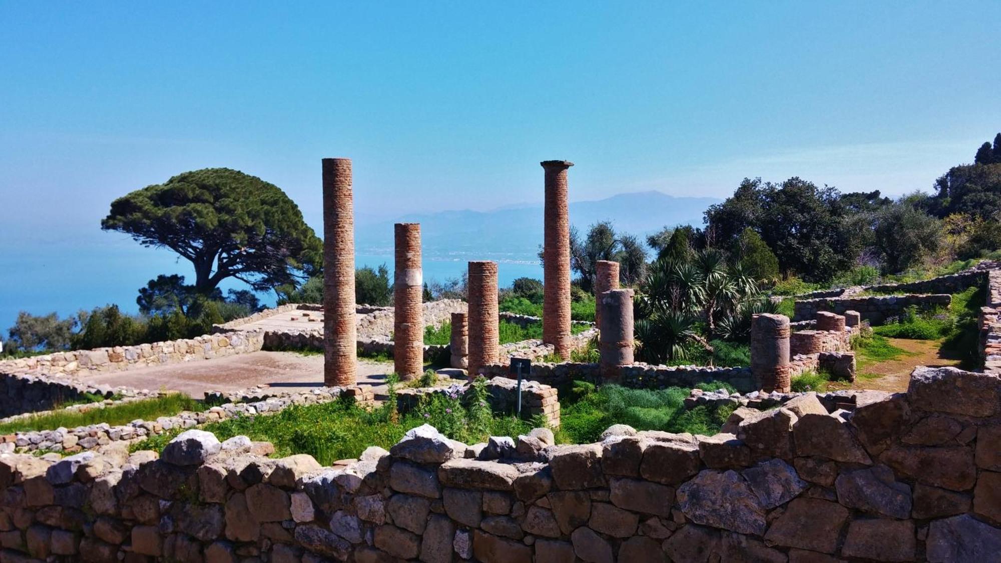 B&B Il Giardino Di Zefiro Gioiosa Marea Exteriér fotografie