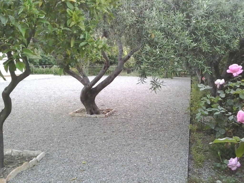 B&B Il Giardino Di Zefiro Gioiosa Marea Exteriér fotografie